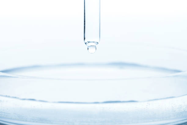 istock Petri dish and pipette with transparent liquid drop 1361587753