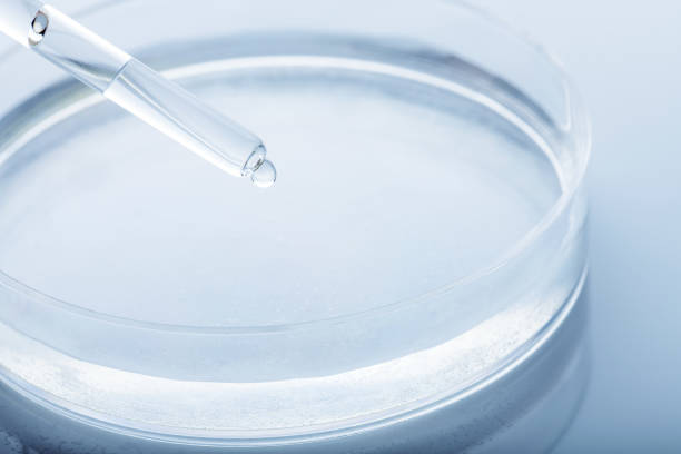istock Petri dish and pipette with transparent liquid drop 1361587755