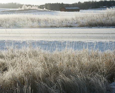 beautiful winter landscape in Finland, frozen grass glitter in the sun, road
