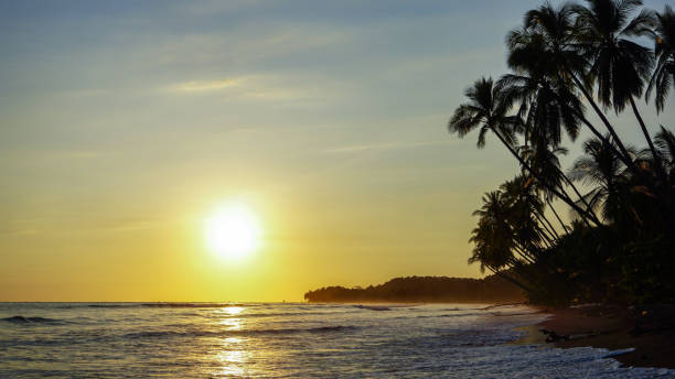 istock Beautiful tropical sunset beach view over the Pacific Ocean. 1361591710