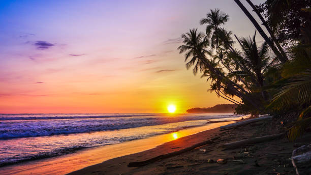 istock Beautiful tropical sunset beach view over the Pacific Ocean. 1361591994