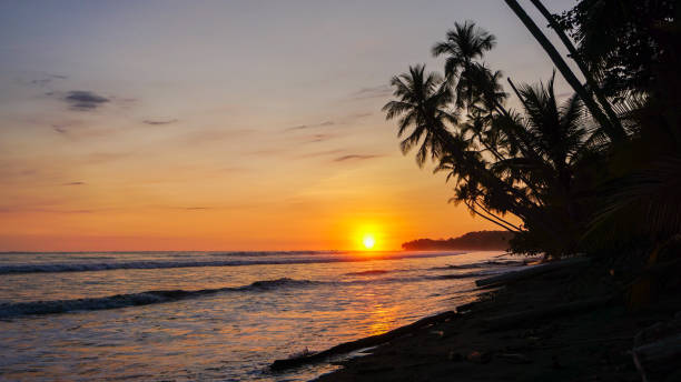 istock Beautiful tropical sunset beach view over the Pacific Ocean. 1361591995
