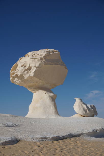 istock Bird shaped rock formation in the white desert 1361592128