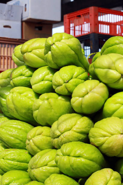 Closeup of  heap of chayote Closeup of  heap of chayote at Brasilian market stall Christophine stock pictures, royalty-free photos & images