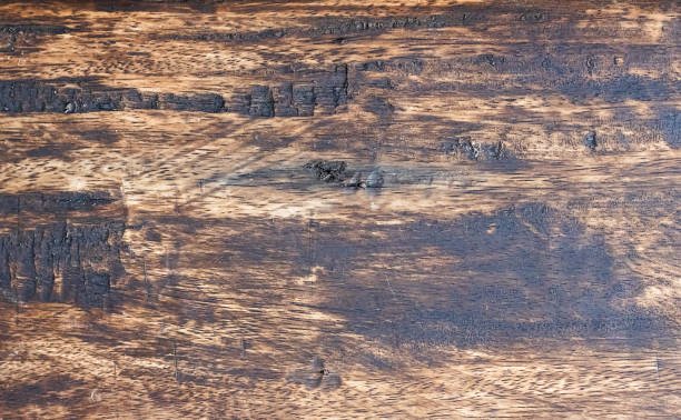istock Aged wooden board with rough grunge texture for background 1361593377