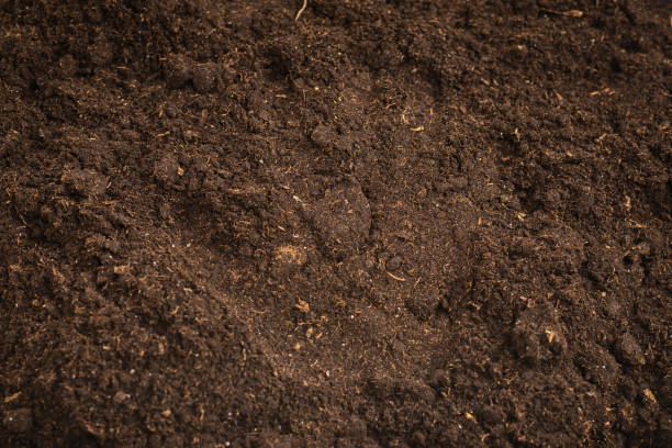 istock Woman hand trace on a ground. 1361594719