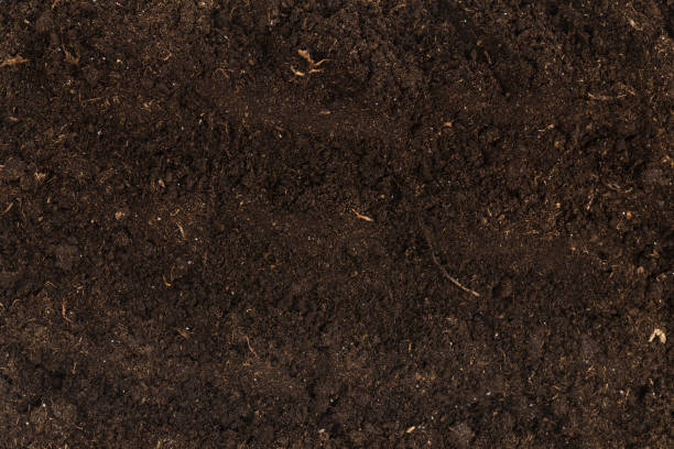 istock Soil for plant isolated on white background. 1361594728