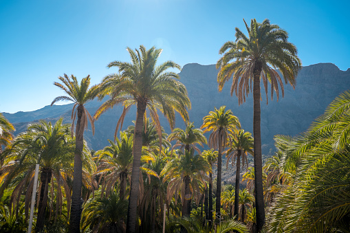 La Sorrueda landscape in a sunny day