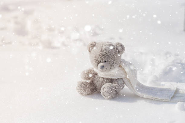 teddy bear sitting in the snow, winter, white snow background
