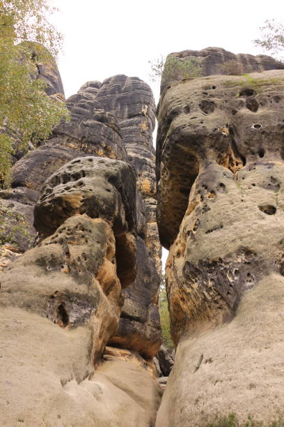 istock Autumn in the Saxon Switzerland 1361596161
