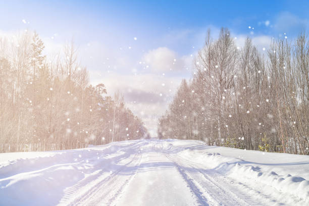 Snow-covered road in winter, between trees. It snows on a clear day.