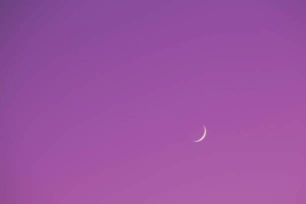 istock Moon in summer , clear background,stock photo 1361597231