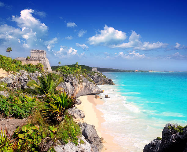 antigas ruínas maia tulum caribe azul turquesa - horizon over water white green blue imagens e fotografias de stock
