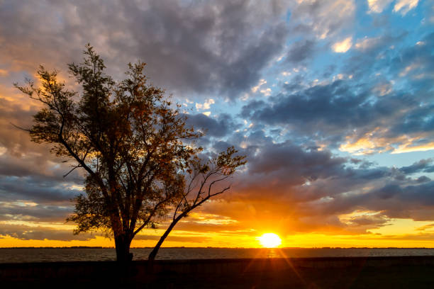 istock Sunset panorama over the Chascomus lagoon (Argentina) with tree silhouette 1361603229