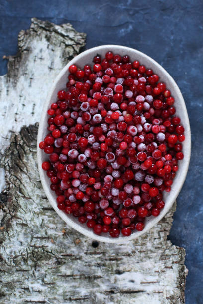 istock organic frozen lingonberry 1361605763