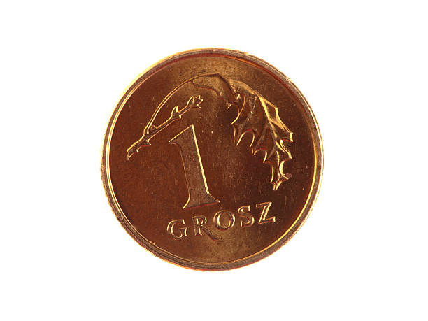 istock polish money isolated 136160994