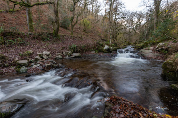 istock Horner woods in Somerset 1361610838