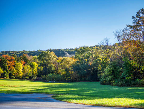 istock Beautiful wooded area on the roadside 1361611987