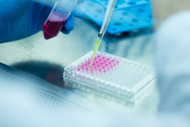 istock Medical and medicine laboratory 1361612384