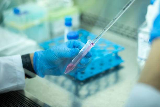 istock Medical and medicine laboratory 1361613298