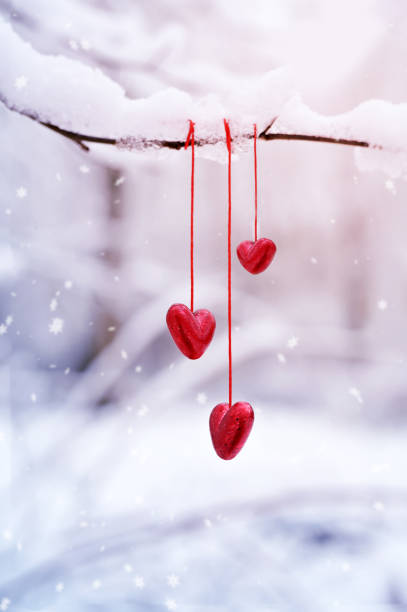 Red hearts on snowy tree branch in winter. Holidays happy valentines day. Love concept. Red hearts on snowy tree branch in winter. Holidays. Happy valentines day celebration. Heart love concept. february photos stock pictures, royalty-free photos & images