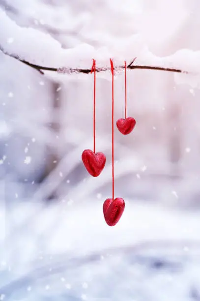 Photo of Red hearts on snowy tree branch in winter. Holidays happy valentines day. Love concept.