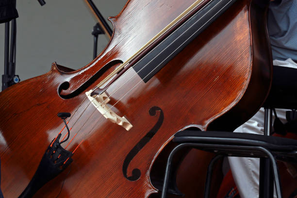 istock Close up of viola 1361615428