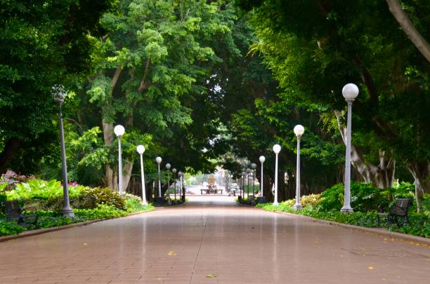 istock Empty Sydney path through Hyde Park with no people during the COVID 19  pandemic lockdown 1361629972