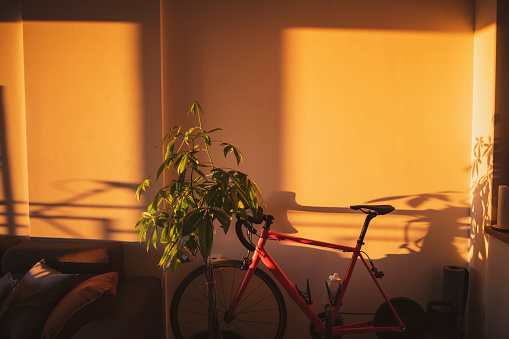 Shot of a living room lit by the rising sun early in the morning