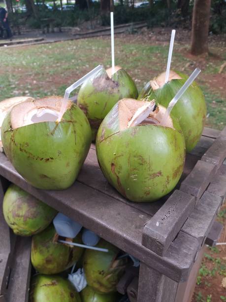 istock A huge amount of coconuts inside and over a public gargabe bin 1361632520