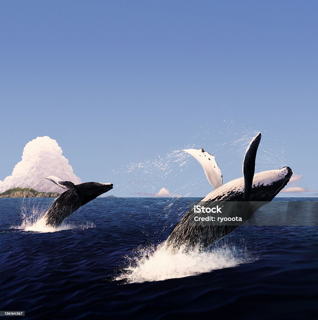Il salto di balena - Illustrazione stock royalty-free di Balena