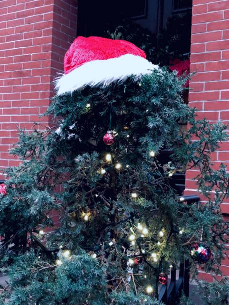 istock Outdoor Christmas Tree 1361649547