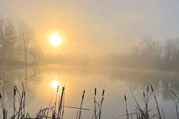 istock Foggy Lake Sunrise-Howard County, Indiana 1361654593