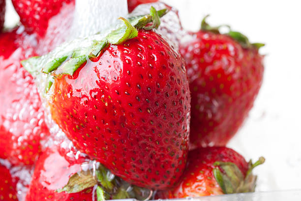 Red Strawberry