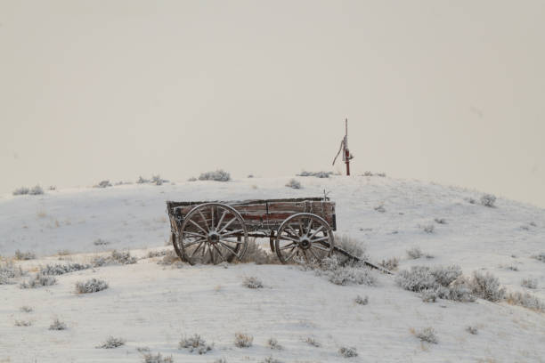 Very old horse drawn wagon in snow Very old horse drawn covered wagon. Over 100 years old on ranch land in central Montana in western United States of America (USA). covered wagon horse cart snow winter stock pictures, royalty-free photos & images