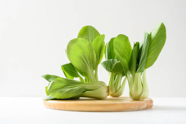 bok choi (col blanca) sobre fondo blanco - bok choy fotografías e imágenes de stock