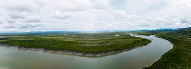 istock Panorama Of a River At Low Tide 1361661148