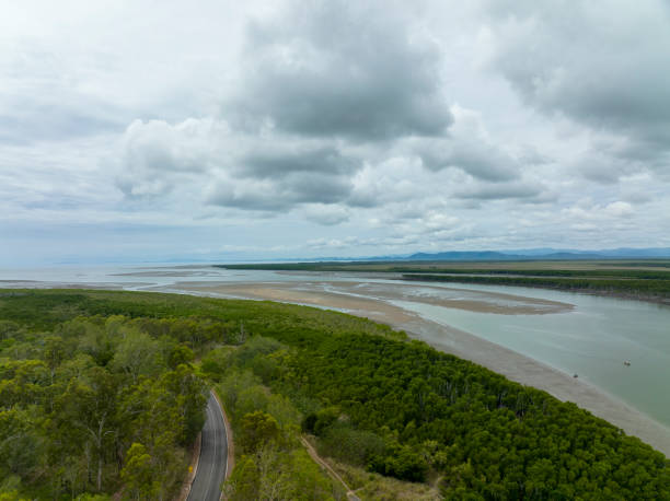 istock Road Through Coastal Bushland Beside A Tidal Creek 1361661149