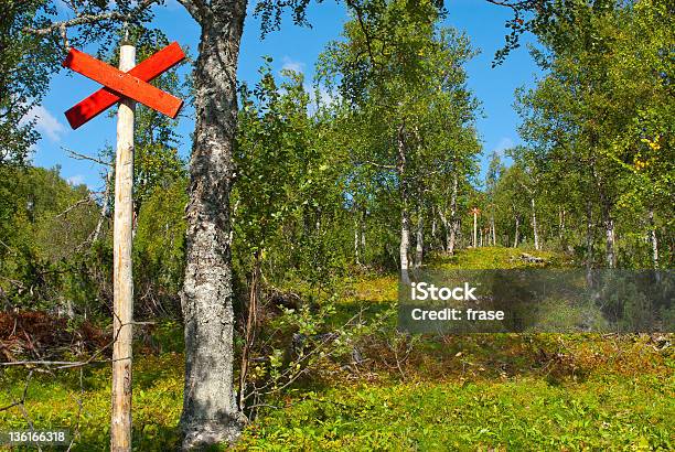 Skuter Trail - zdjęcia stockowe i więcej obrazów Arktyka - Arktyka, Bez ludzi, Brzoza