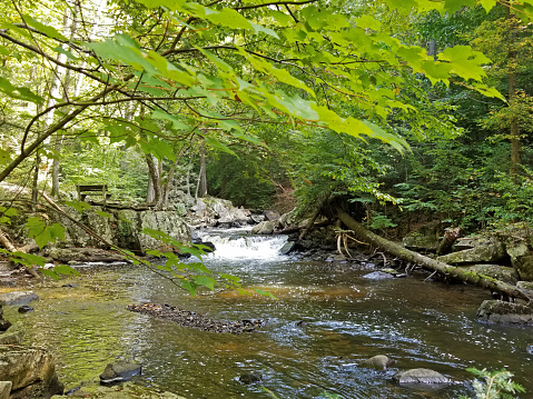 Watery scenes along the Lamington River at Hacklebarney State Park, in Chester, New Jersey, USA