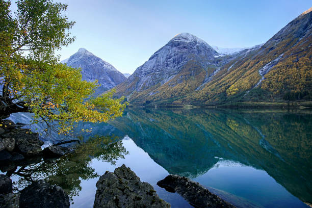 istock Fjord and Lake 1361668392