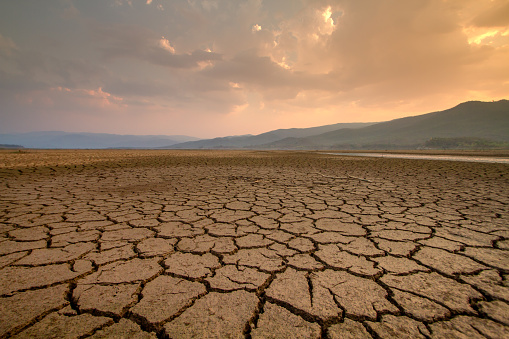 La sequía afecta a África photo