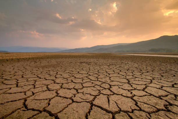 가뭄 영향 아프리카 - drought landscape global warming environment 뉴스 사진 이미지