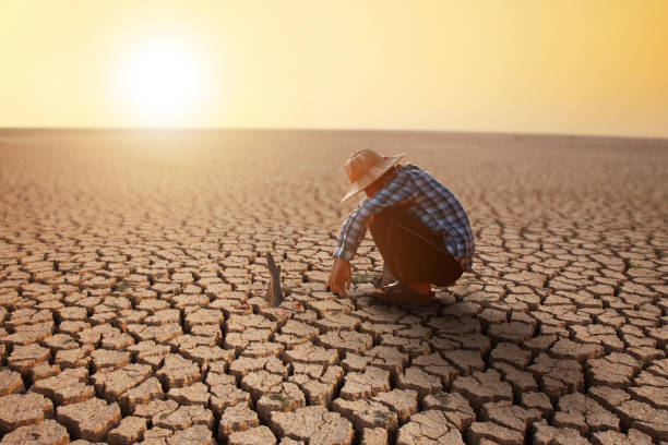 mudanças climáticas e jovens no futuro - drought scarcity desert dry - fotografias e filmes do acervo