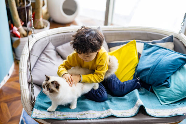 istock The little boy and his cat are playing on the sofa 1361673331