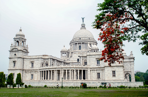 Kolkata west Bengal 04.22.2011 The Victoria memorial the famous monument of Kolkata with red Krishachura flowers.