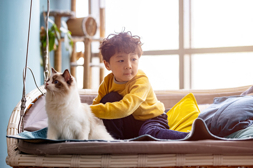 The little boy and his cat are playing at home