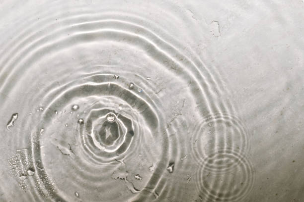 istock Water splash of falling drop with circular waves 1361677953