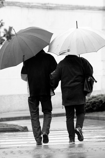 Lugo, Spain - May 10, 2021: Rear view of  couple walking holding hands on a street crosswalk in a rainy day. Lugo city, Galicia, Spain. Two umbrellas.