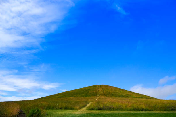 istock Green grass hills and blue sky 1361681026